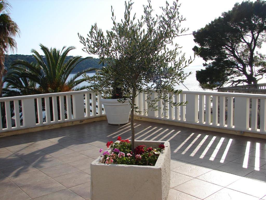 Villa Vilina Lopud Exterior foto
